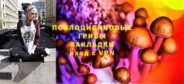 эйфоретик Абинск
