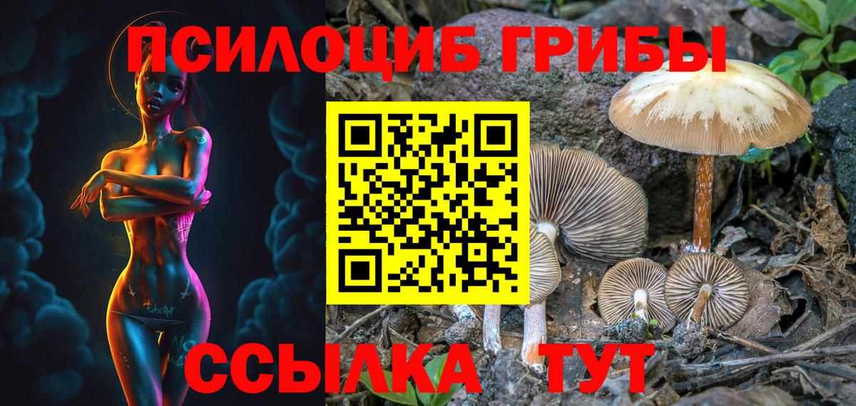 Нальчик  купить  сайты  Псилоцибиновые грибы мицелий  Вход с VPN  Псилоцибиновые грибы GOLDEN TEACHER 
