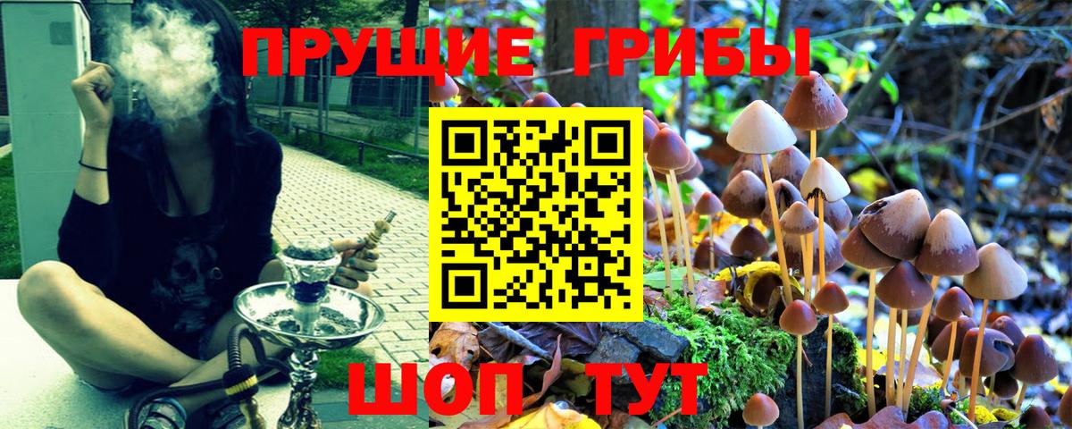 Галлюциногенные грибы MAGIC MUSHROOMS Нальчик